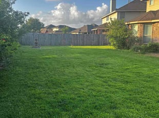 Terry R.'s yard maintenance service result