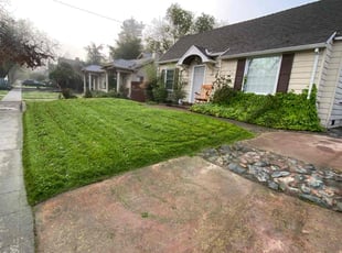 Rebecca B.'s grass maintenance service result