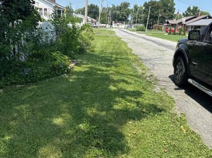 Nat S.'s lawn care services service result