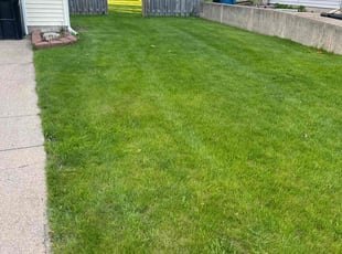 Nathan G.'s lawn care service result