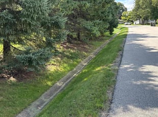 Niyah M.'s grass maintenance service result