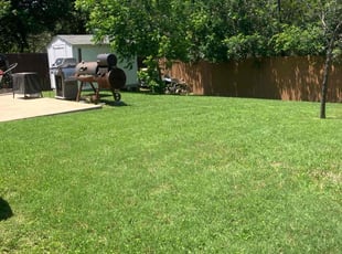 Angela P.'s grass cutting service result