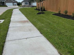 Amanda P.'s grass maintenance service result