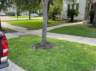 Ryleigh K.'s turf care service result