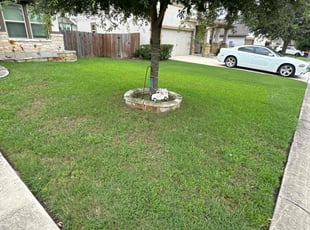 Tenia G.'s lawn service service result
