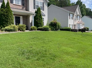 Joshua K.'s turf care service result