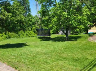 Emma S.'s turf maintenance service result