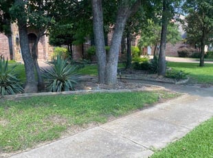 Catherine K.'s grass maintenance service result