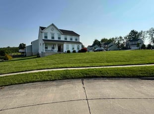 Jane C.'s turf care service result