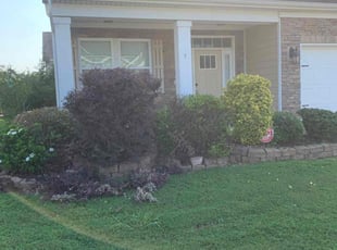 Regina M.'s Bush Trimming service result