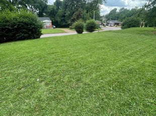 Charon K.'s grass cutting service result
