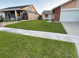 Cedrick B.'s lawn maintenance service result