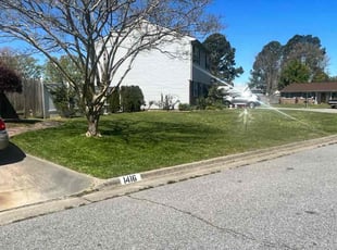 Kathleen B.'s lawn care services service result