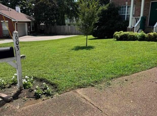 Sherri H.'s lawn care service result