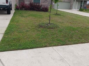 Mary L.'s grass cutting service result