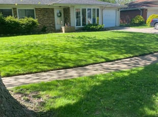 Keith H.'s lawn care service result