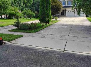 Anita V.'s grass cutting service result