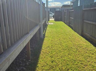 Sonia R.'s lawn maintenance service result