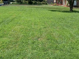 Pat C.'s turf maintenance service result