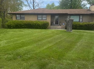 Rotem O.'s lawn care services service result
