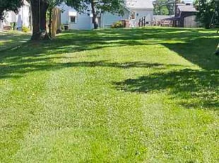 Crystal J.'s yard service service result