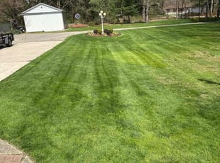 Pat A.'s turf care service result