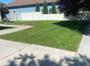 Katie P.'s turf care service result