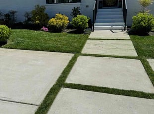 Angie V.'s lawn care service result