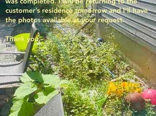 Natividad F.'s Flower Bed Weeding service result