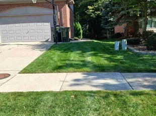 Michael K.'s turf care service result