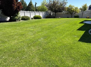 Loren H.'s lawn service service result