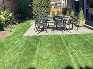 Scott W.'s lawn care service result