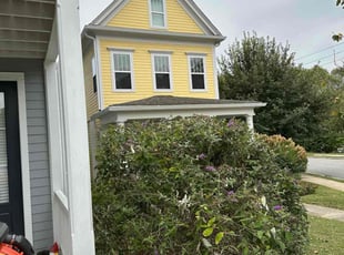 Aileen A.'s Bush Trimming service result