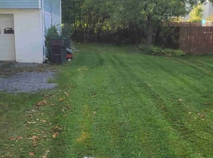 David H.'s lawn maintenance service result