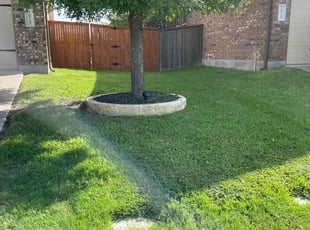 Ricky M.'s turf maintenance service result