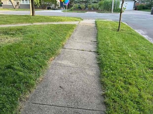 Yakaria B.'s lawn care services service result