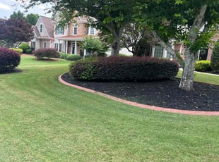 Mike H.'s lawn maintenance service result