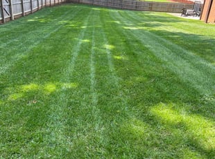 Wendy A.'s residential landscaping service result