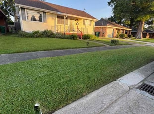 Karen B.'s lawn maintenance service result