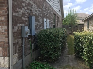 Sandy F.'s Bush Trimming service result