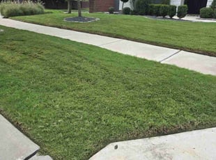 Dianna G.'s Bag Clippings service result