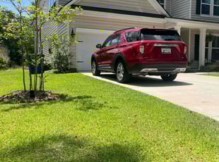 Heather B.'s turf maintenance service result