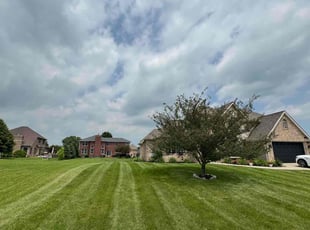 Kristina G.'s lawn care service result