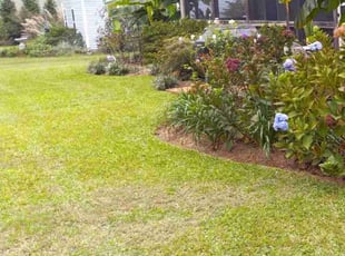 Patrick A.'s lawn care services service result