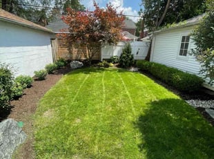 Randall A.'s grass cutting service result
