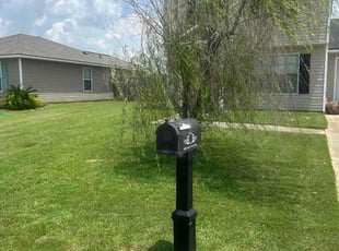 Louise L.'s grass cutting service result