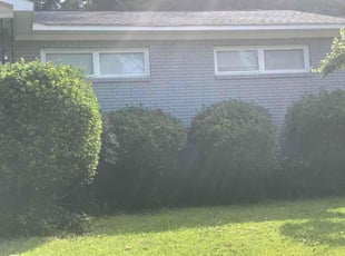 Curtis P.'s Bush Trimming service result