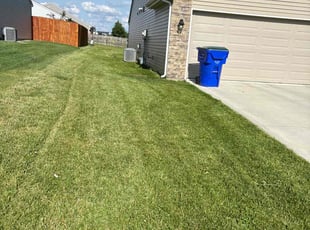 Nelson S.'s lawn maintenance service result