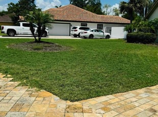 Michael D.'s turf care service result