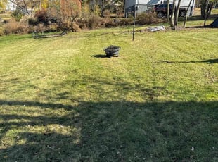 Michelle R.'s turf care service result